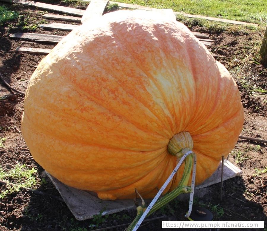 fruitImages/765.4 Wagler 2025B.jpg